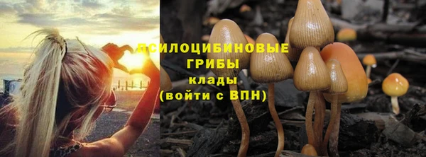ешки Верхний Тагил