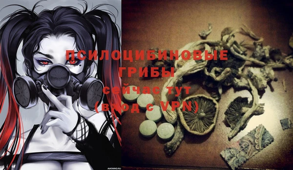 2c-b Верея