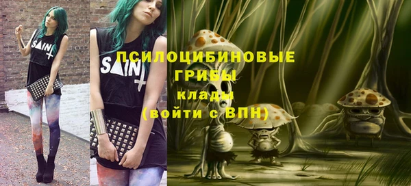 ешки Верхний Тагил